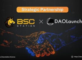 Picture of BSCStation and DAOLaunch
